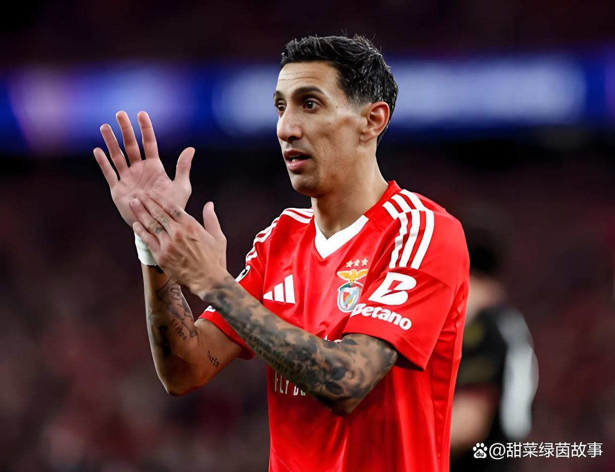 包含葡超赛程吃紧，波特兰开拓者窗口期单刀错失，目标明确，心理建设被强调的词条