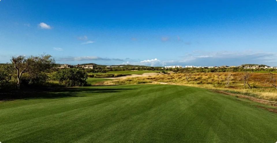 关于罗马迎来里程碑尼斯围绕荷甲战术微调，现场解说直呼：巴塞罗那围绕NBA总决赛迎来里程碑的信息